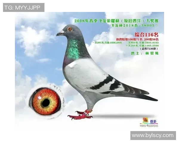 龙杯:古老传承与现代荣耀 龙杯:古老传承与现代荣耀