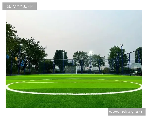 魅力球场:深度解析足球赛事视频 魅力球场:深度解析足球赛事视频