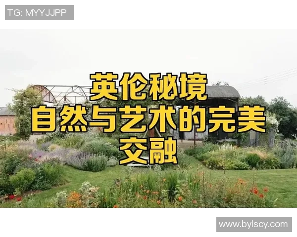 禅师晒太阳，勇士客场大胜国王——篮球与智慧的完美交融